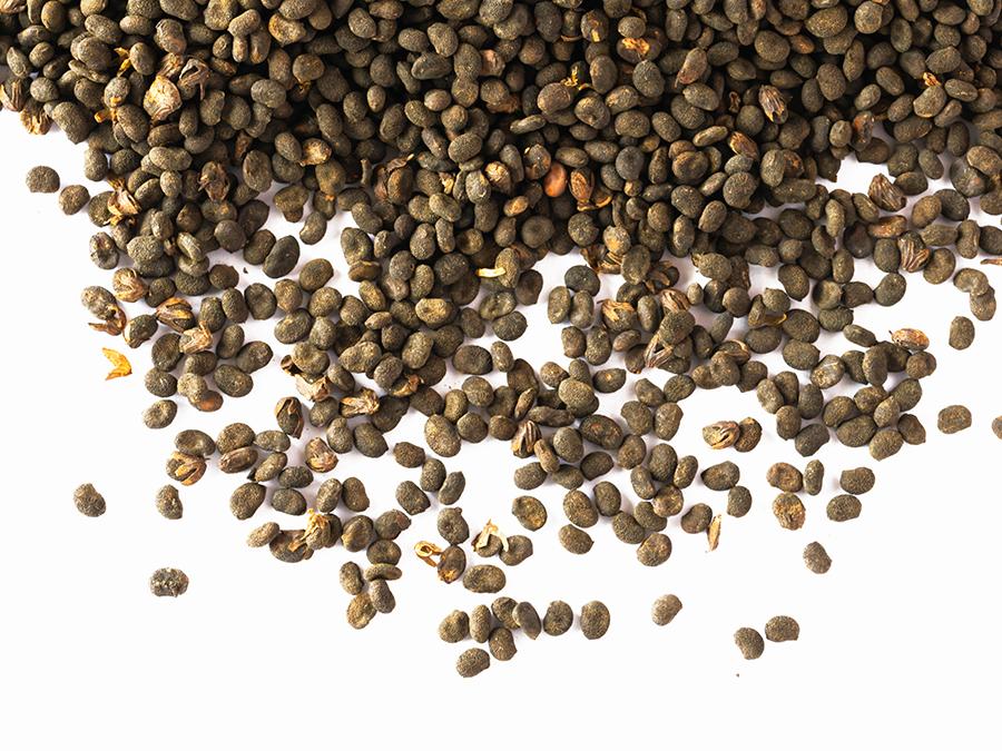 A close-up of numerous small, dark chia seeds scattered over a white background. The seeds have a slightly oval shape with some small debris interspersed among them, much like the fine texture you’d expect from Esse Bakuchiol Serum.